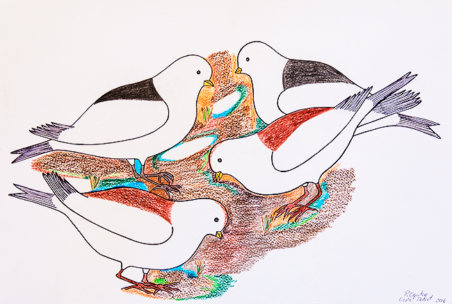 Birds Eating Pauojoungie Saggiak Lineage Arts Gallery Ottawa