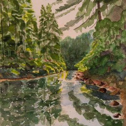 Pog Lake- Algonquin Park Luis Leigh Guillermo Lineage Arts Gallery Ottawa