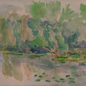 Tree Grouping on the Water at Petrie Island Luis Leigh Guillermo Lineage Arts Gallery Ottawa