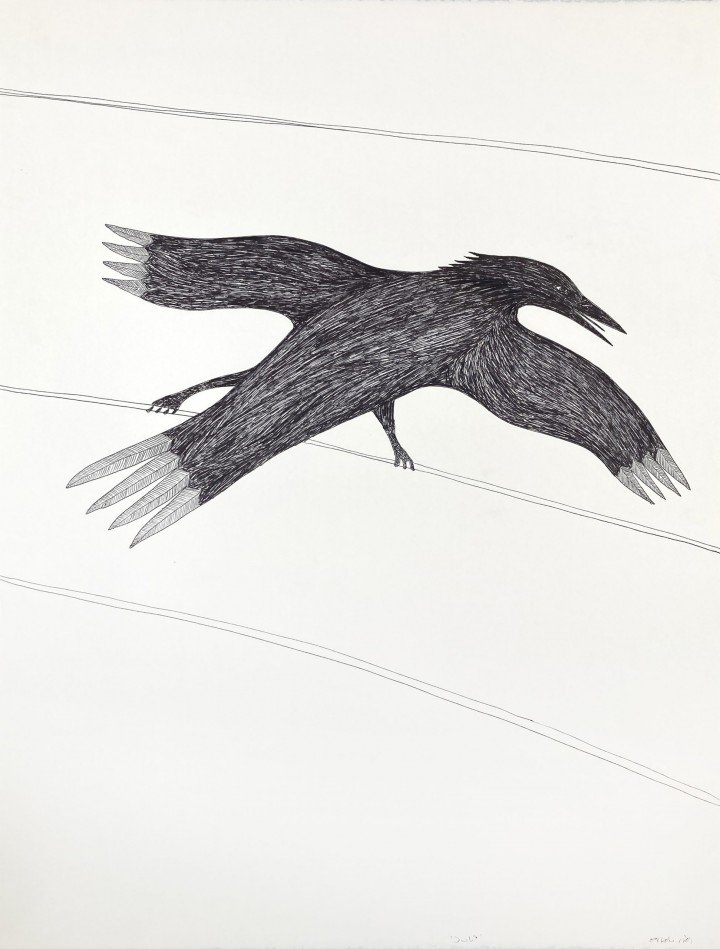 Tulugaq (Raven) Ningiukuluk Teevee Lineage Arts Gallery Ottawa Indigenous Art